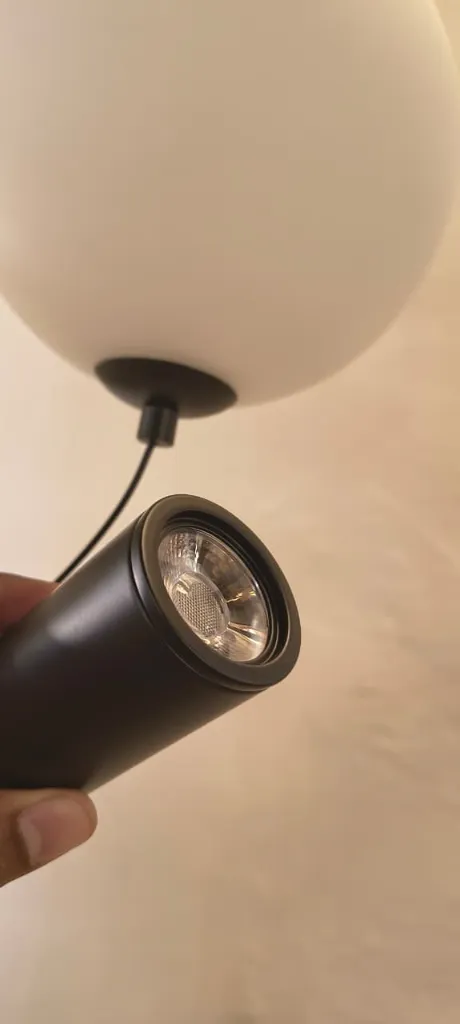 WhatsApp Image 2026-04-06 at 3.17.06 PM.webp